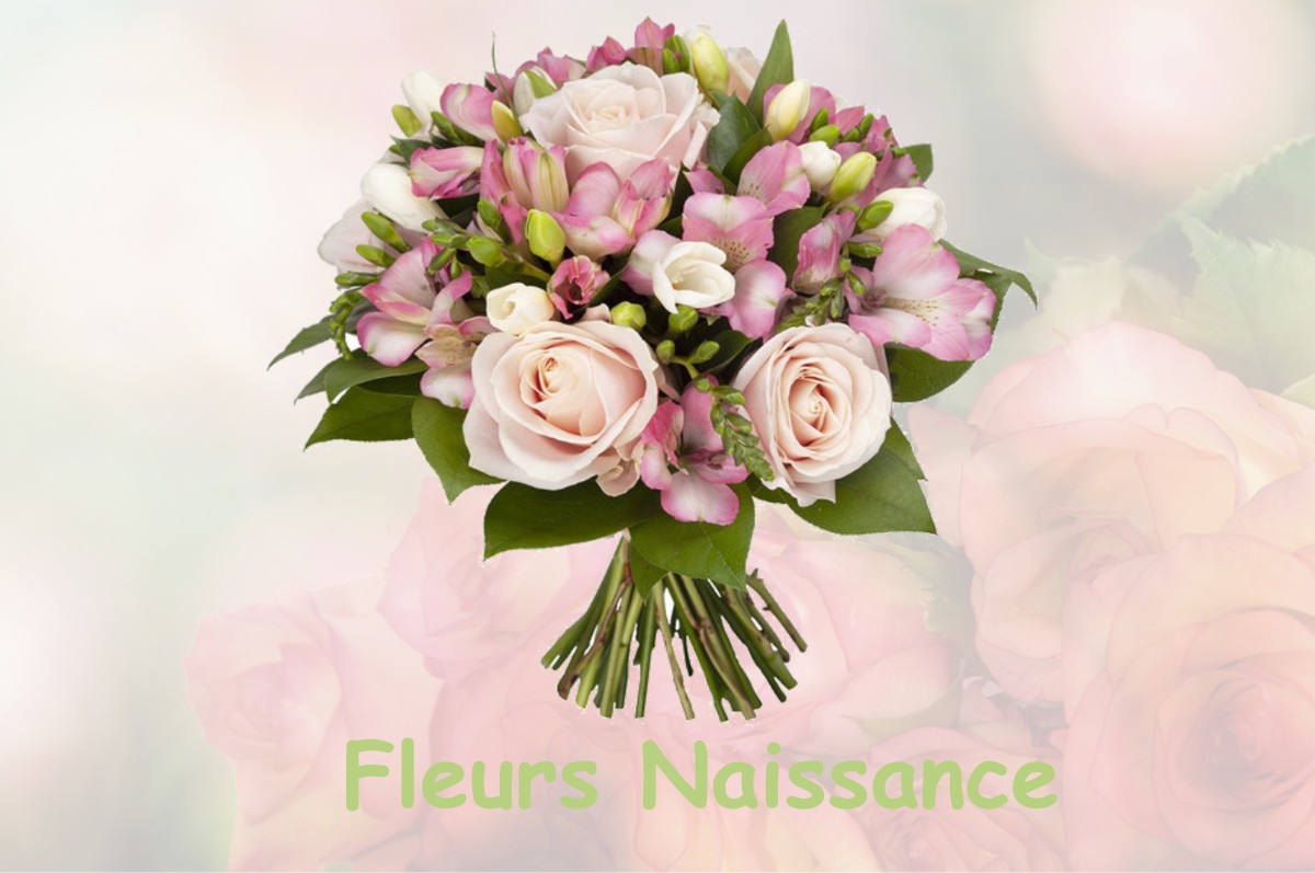 fleurs naissance LA-FRESNAIS
